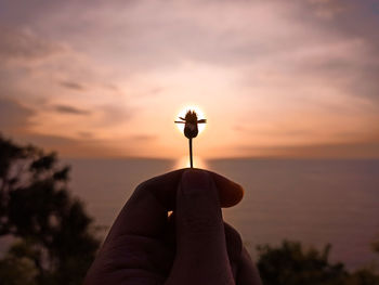 Low section of person hand holding red flower against sky during sunset