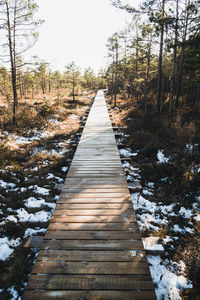 Wooden boardwalk leading towards trees in forest during winter