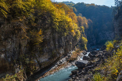 Scenic view of waterfall in forest during autumn