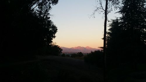 Silhouette trees on landscape against sky during sunset