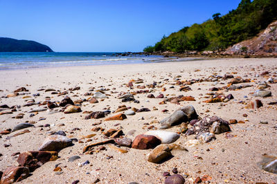 Surface level of beach against clear sky