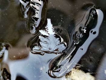 High angle view of bubbles in water