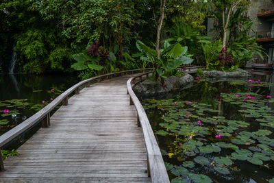 Wooden walkway leading through the pond