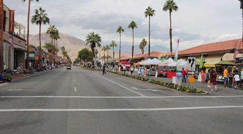 Road and palm trees against cloudy sky