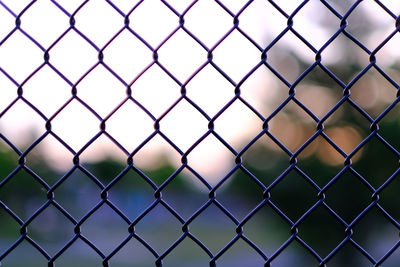 Close-up of chainlink fence