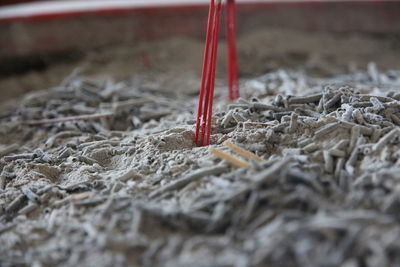 Close-up of red container