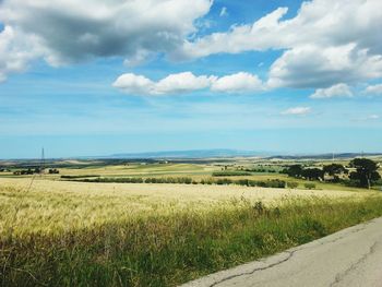 Scenic view of agricultural field against sky