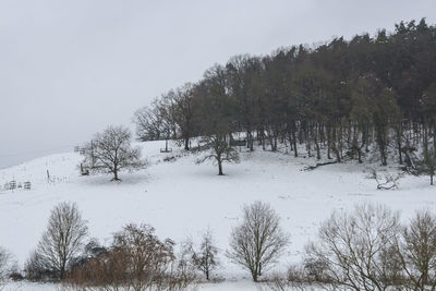 Trees on snow covered field against sky