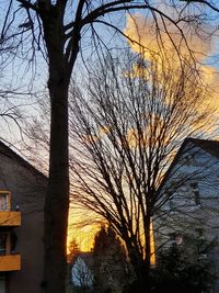 Silhouette bare tree against building during sunset