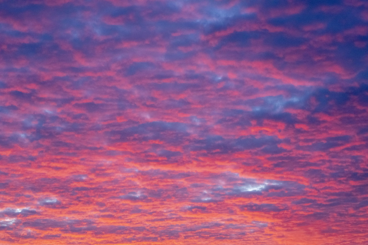 FULL FRAME SHOT OF ORANGE SUNSET SKY