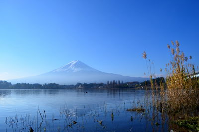 Scenic view of lake against blue sky