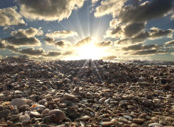 Rocks and pebbles in sunlight