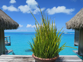 Overwater bungalows in bora bora, french polynesia