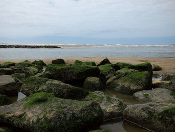 Rocks on sea shore against sky