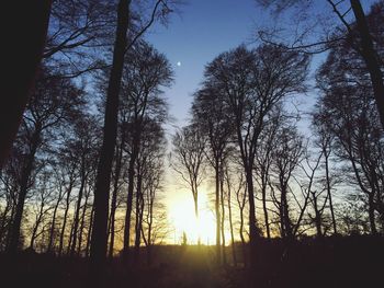 Low angle view of silhouette trees against sky