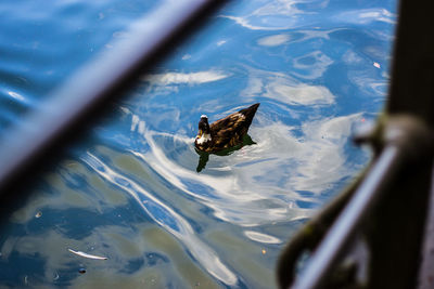 Close-up of insect on plant