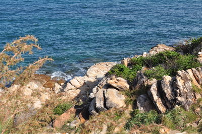 High angle view of rocks by sea