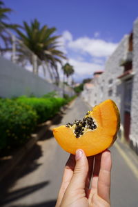 Cropped hand holding orange fruit against sky