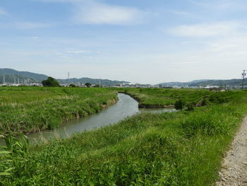 Scenic view of agricultural field against sky