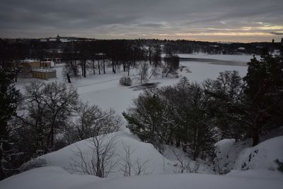 Trees on snow covered landscape against sky