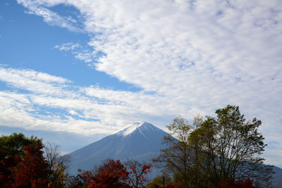View of trees on snowcapped mountain against cloudy sky