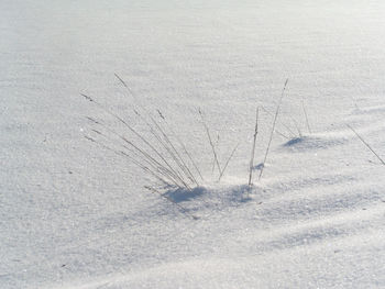 High angle view of snow covered field