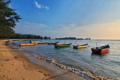 Boats moored in sea