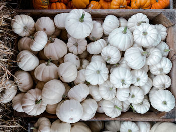 High angle view of vegetables for sale