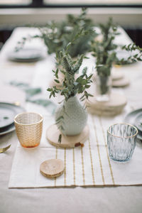 Close-up of potted plant on table