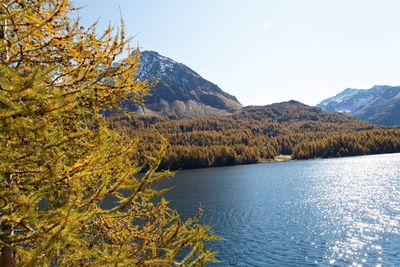 Scenic view of lake by trees against sky