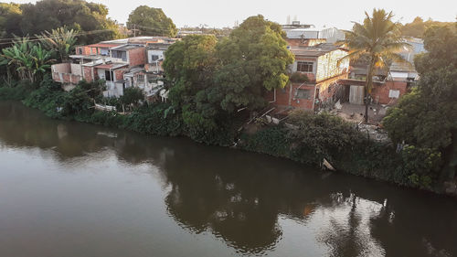 Trees and houses by river in town