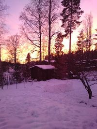 Snow covered trees against sky during sunset