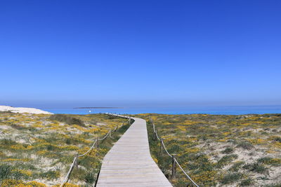 Walkway amidst sea against clear blue sky