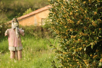 Rear view of girl walking on field