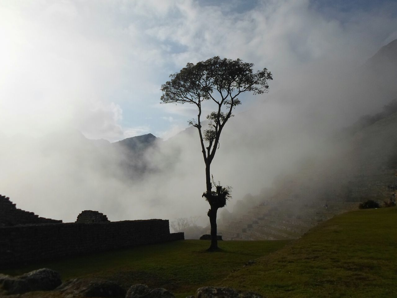 Machu Picchu