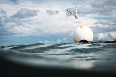 Seagull flying above a buoy in the baltic sea