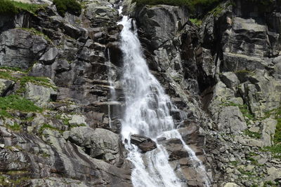 Low angle view of waterfall in forest