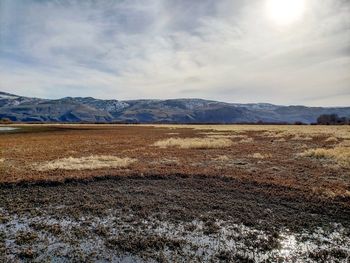 Scenic view of field against sky