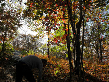 Rear view of man in forest