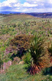 Scenic view of land against sky