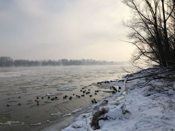 Scenic view of frozen lake against sky during winter