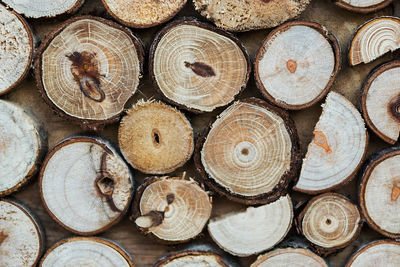 Full frame shot of logs on wall