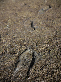 Close up of sea shore