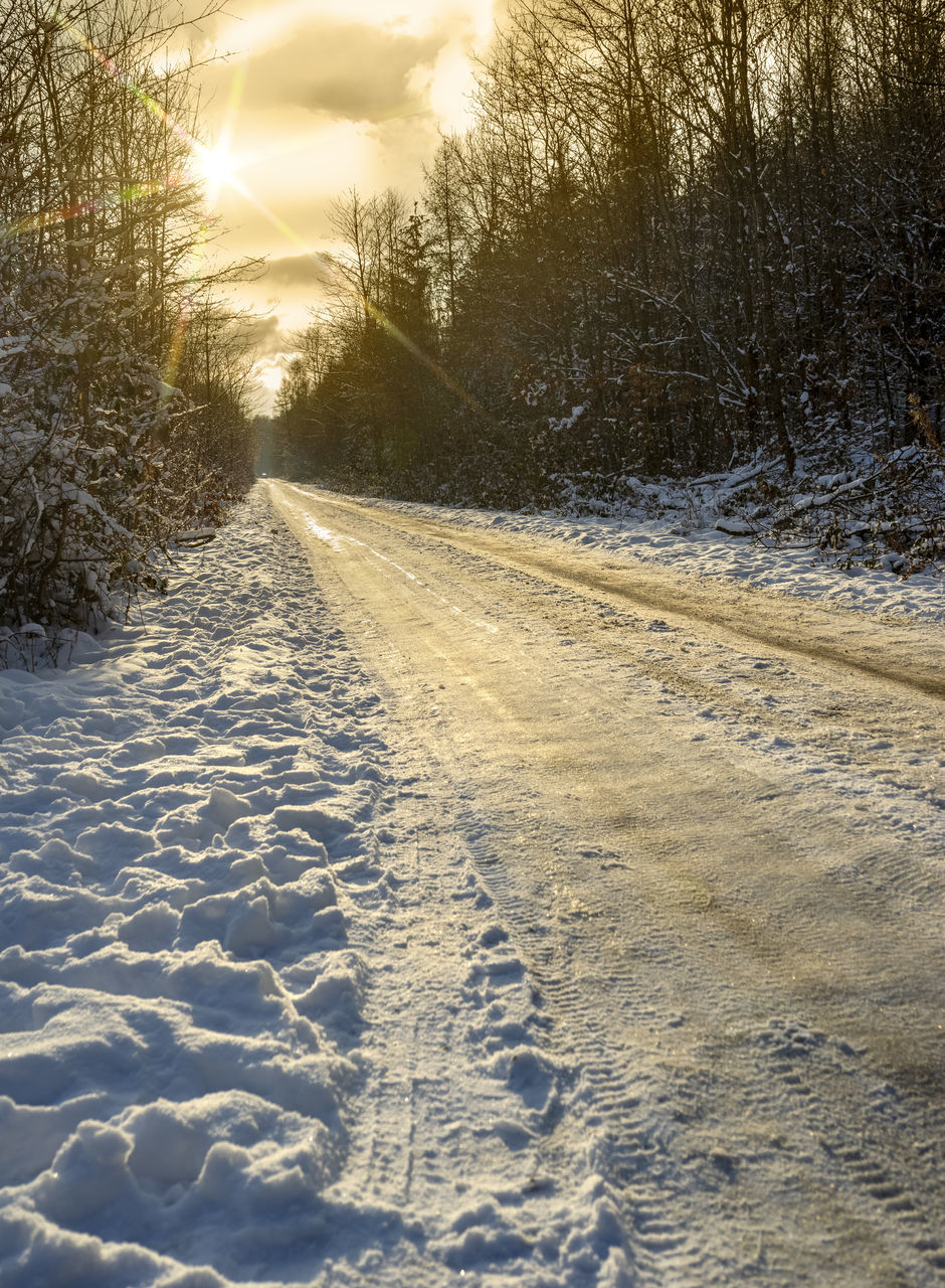 ROAD AMIDST TREES DURING WINTER SEASON