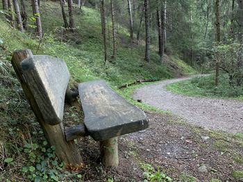 Road amidst trees in forest