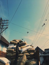 Low angle view of birds on building against sky