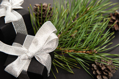 High angle view of christmas plant