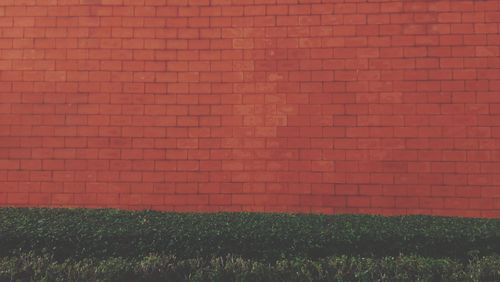 wall