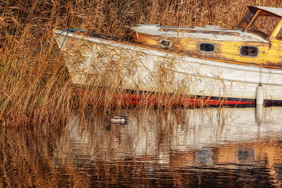 View of boats moored in lake