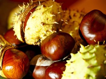 Close-up of fruits